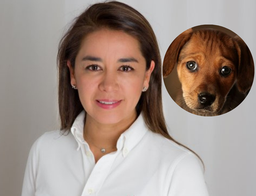 Diana Diago denuncia presunto carrusel de contratación en programas de protección animal; Suba figura entre las localidades señaladas