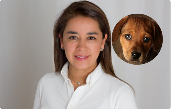 Diana Diago denuncia presunto carrusel de contratación en programas de protección animal; Suba figura entre las localidades señaladas