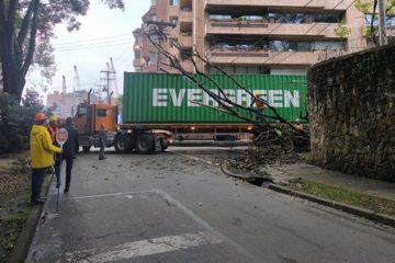 Caída de árbol provoca emergencia vial en Chapinero y afecta tendido eléctrico