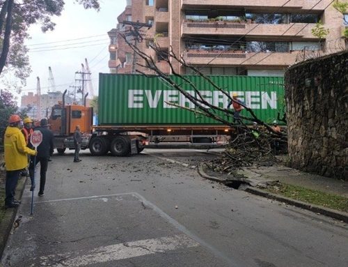 Caída de árbol provoca emergencia vial en Chapinero y afecta tendido eléctrico