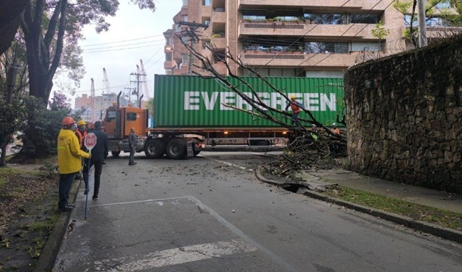 Caída de árbol provoca emergencia vial en Chapinero y afecta tendido eléctrico