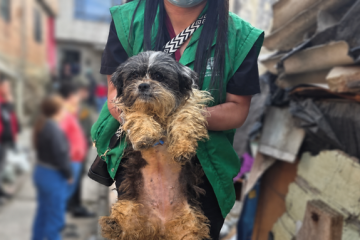 Bogotá reporta contundente golpe al maltrato animal en 3 operativos simultáneos en diferentes localidades