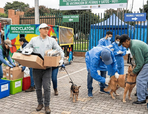 Feria Interinstitucional Reciclatón y jornada gratuita de vacunación antirrábica llegarán a Suba