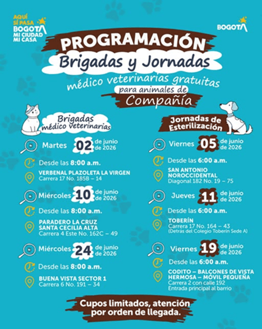 ¡Usaquén se pone la 10 con los peluditos! Llegan jornadas gratuitas para mascotas