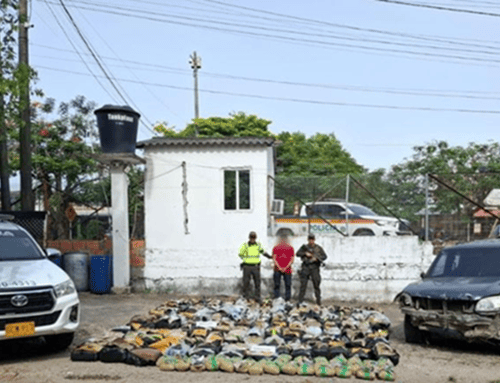 Policía incauta 809 kilos de marihuana en la vía Castilla–Coyaima, en el Tolima