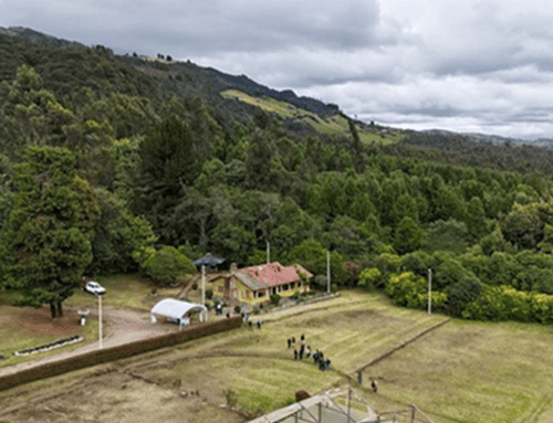 Tausa tendrá el primer jardín botánico de ecosistemas de alta montaña de Cundinamarca