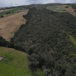 CAR reporta la siembra de más de 1,8 millones de árboles para proteger el agua y enfrentar el cambio climático