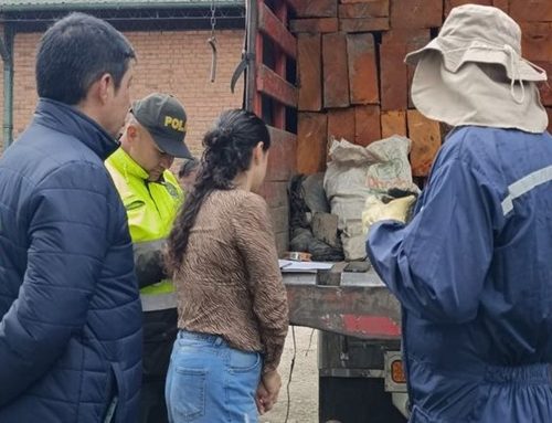 Duro golpe al tráfico ilegal de madera en Ubaté