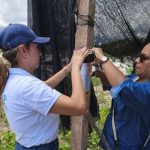Proyecto solar termina bajo investigación por presunta afectación ambiental en Cundinamarca