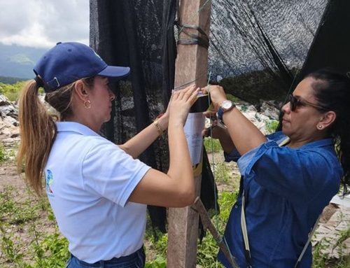 Proyecto solar termina bajo investigación por presunta afectación ambiental en Cundinamarca