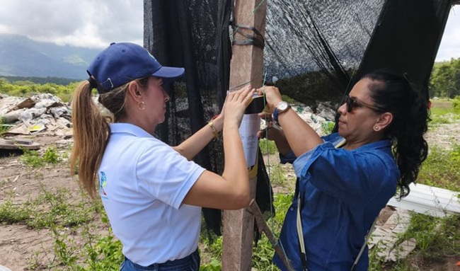 Proyecto solar termina bajo investigación por presunta afectación ambiental en Cundinamarca