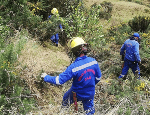 Alertan por posible Fenómeno de El Niño de alta intensidad entre 2026 y 2027 en Colombia