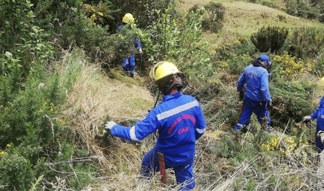 Alertan por posible Fenómeno de El Niño de alta intensidad entre 2026 y 2027 en Colombia