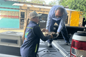 Fauna silvestre rescatada en Guaduas iniciará proceso de recuperación en Tocaima