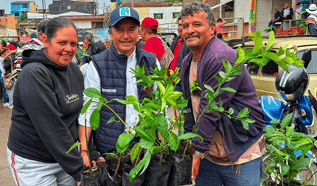 Anolaima impulsa el campo con la entrega de 15.600 árboles frutales