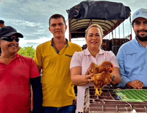 Más de 30 familias campesinas dejan atrás el carbón y apuestan por proyectos sostenibles en Cundinamarca