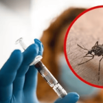 Alerta por fiebre amarilla: MinSalud pide vacunarse antes de viajar