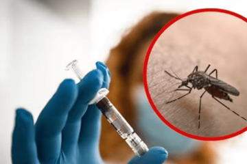 Alerta por fiebre amarilla: MinSalud pide vacunarse antes de viajar