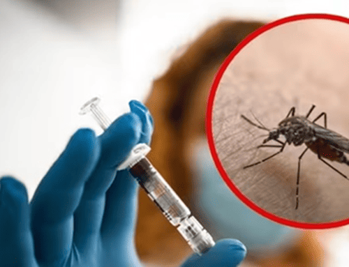Alerta por fiebre amarilla: MinSalud pide vacunarse antes de viajar