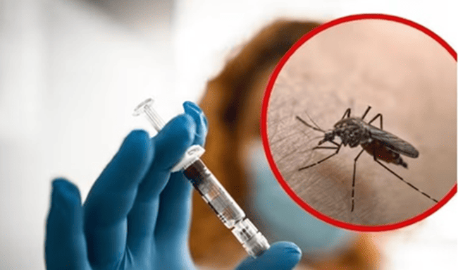 Alerta por fiebre amarilla: MinSalud pide vacunarse antes de viajar