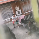 Vecinos denuncian continuas agresiones contra una perrita en Bosa