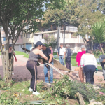 Denuncian presunto ecocidio en Suba: destruyen huerta comunitaria con seis años de trabajo ambiental en Aures II
