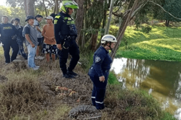 Conductor de volqueta, al parecer ebrio, causó grave accidente en Suba y se lanzó al río Bogotá