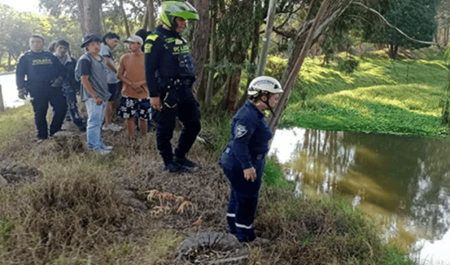 Conductor de volqueta, al parecer ebrio, causó grave accidente en Suba y se lanzó al río Bogotá