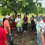 ICA capacita a productores de caña para fortalecer la producción panelera en Caquetá
