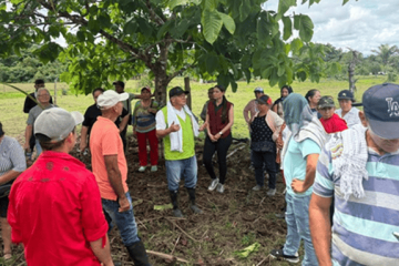 ICA capacita a productores de caña para fortalecer la producción panelera en Caquetá