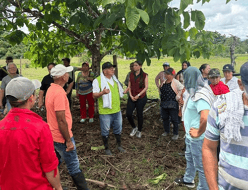ICA capacita a productores de caña para fortalecer la producción panelera en Caquetá