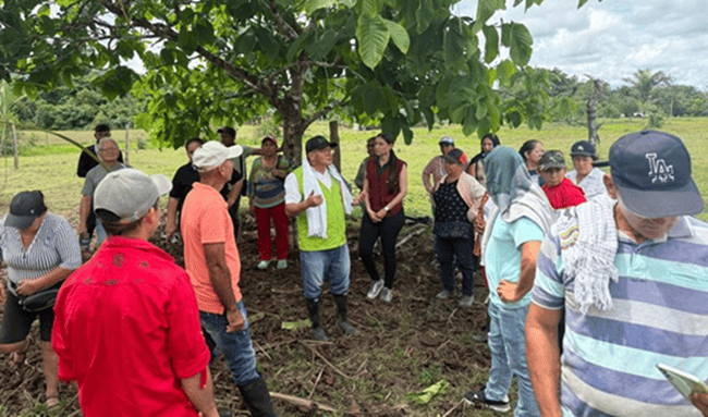 ICA capacita a productores de caña para fortalecer la producción panelera en Caquetá
