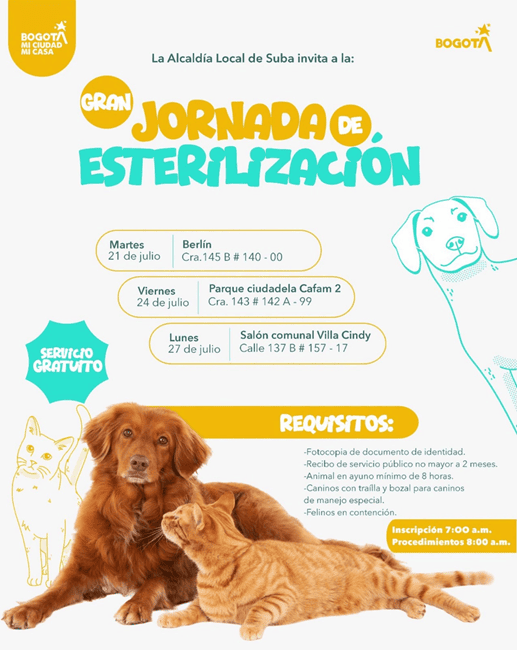 Suba realizará jornadas gratuitas de esterilización para perros y gatos en tres barrios de la localidad