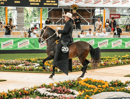 La Feria de las Flores llega con la gran ExpoInternacional Equina en Rionegro