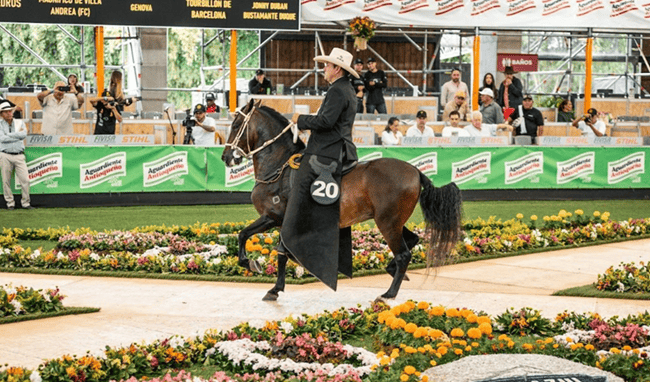 La Feria de las Flores llega con la gran ExpoInternacional Equina en Rionegro