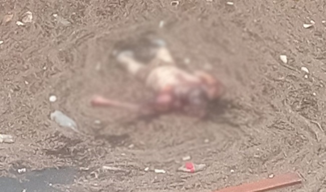Hallan el cuerpo sin vida de un hombre en la avenida 127, cerca de la avenida Córdoba, en Suba