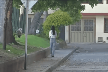 Falsos domiciliarios y delincuentes ocultos entre arbustos generan temor en Aures II, Suba