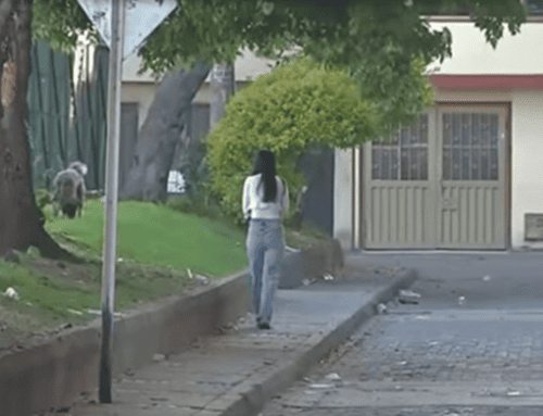 Falsos domiciliarios y delincuentes ocultos entre arbustos generan temor en Aures II, Suba