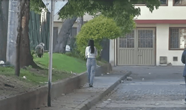 Falsos domiciliarios y delincuentes ocultos entre arbustos generan temor en Aures II, Suba