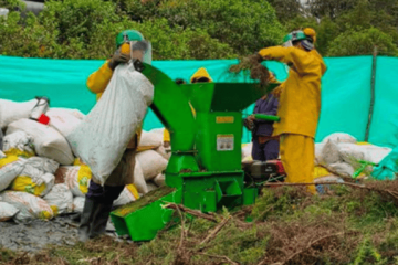CAR fortalece acciones para recuperar ecosistemas afectados por especies invasoras en Cundinamarca