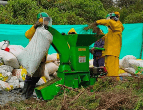 CAR fortalece acciones para recuperar ecosistemas afectados por especies invasoras en Cundinamarca