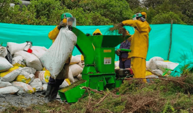 CAR fortalece acciones para recuperar ecosistemas afectados por especies invasoras en Cundinamarca