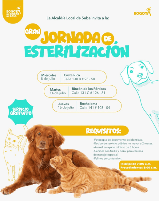 Suba anuncia nuevas jornadas gratuitas de esterilización para perros y gatos