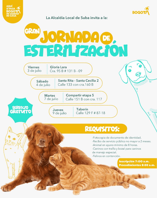 Alcaldía Local de Suba realizará cuatro jornadas gratuitas de esterilización para perros y gatos