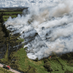 Una posible quema de hojas habría originado incendio en humedal de Bogotá
