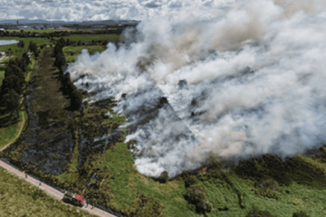 Una posible quema de hojas habría originado incendio en humedal de Bogotá