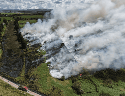 Una posible quema de hojas habría originado incendio en humedal de Bogotá