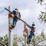 Enel retiró 350 cometas de las redes eléctricas y refuerza medidas para agosto