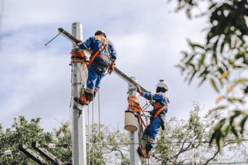 Enel retiró 350 cometas de las redes eléctricas y refuerza medidas para agosto