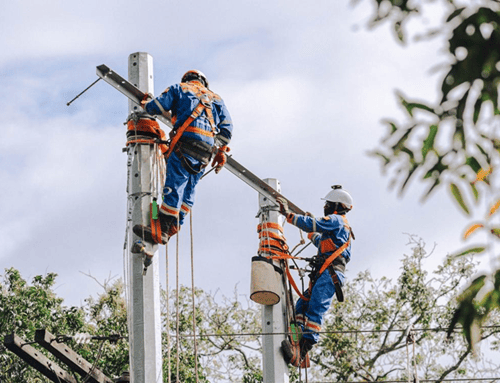 Enel retiró 350 cometas de las redes eléctricas y refuerza medidas para agosto